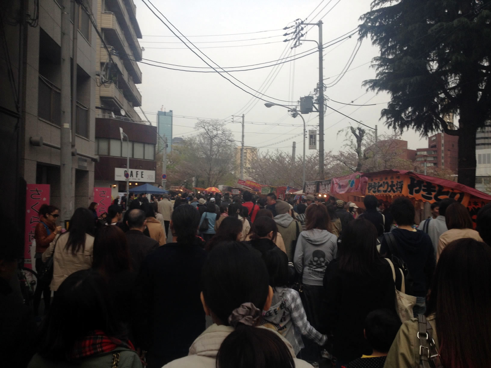 2014年の造幣局桜の通り抜け01 2014年の造幣局桜の通り抜け01